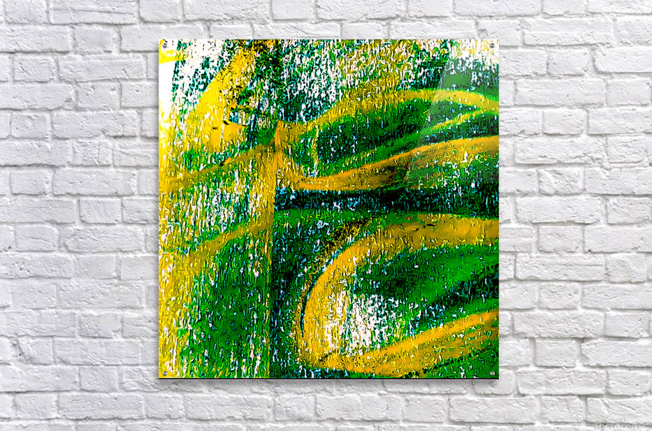 Acrylic Print