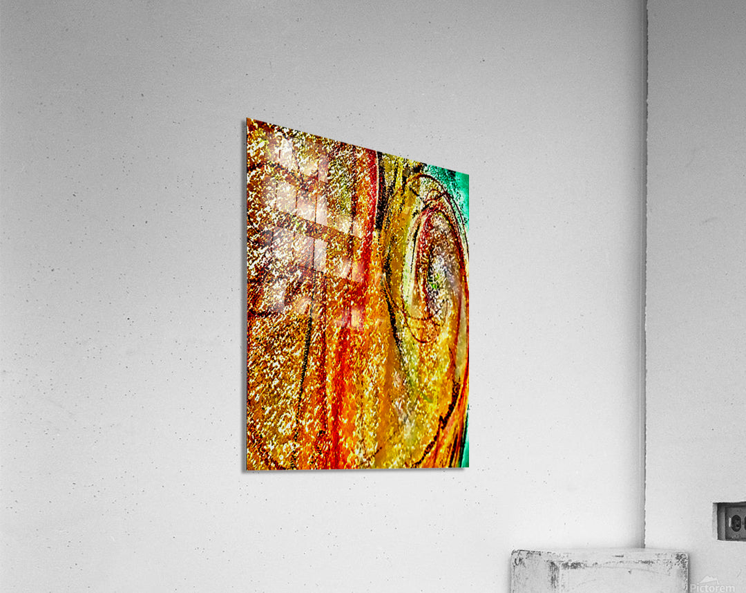 Acrylic Print