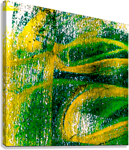 Giclée Stretched Canvas Print