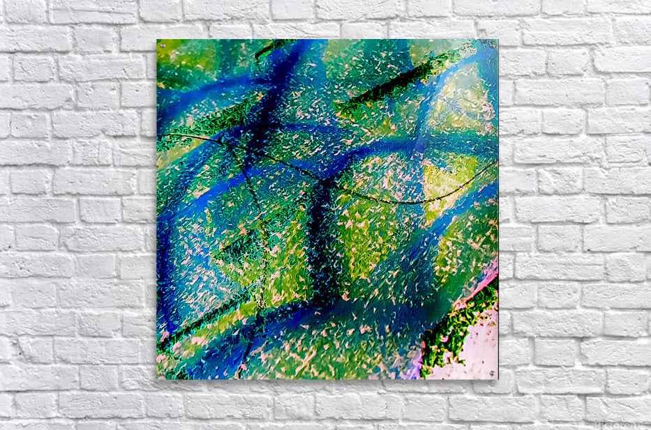 Acrylic Print