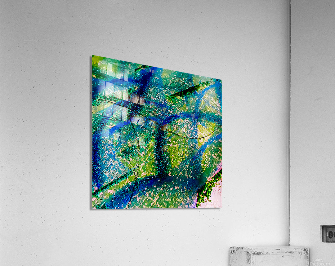 Acrylic Print
