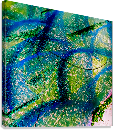 Giclée Stretched Canvas Print